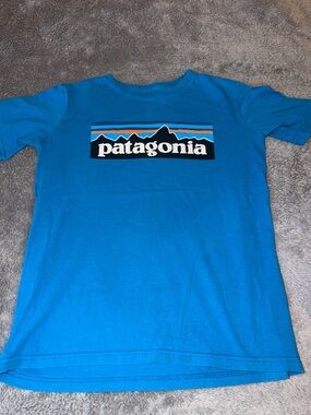 Patagonia Bright Blue Logo Tee with Multicolor Stripe